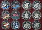 Kuba Cuba 50 Pesos Fauna der Karibik Farbmünzen Fauna Del Caribe Serie mit Box in Kapseln mit Satz Zertifikat 6 x 5 Unzen -