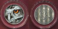 Republik Kongo Republic of Congo 2000 Francs CFA Nature`s Eyes Bubo Bubo Uhu -