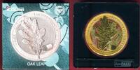 Germania Mint 5 Mark Silber Farbauflage 2019 OAK LEAF 12 Months - August BU in Kapsel zum Aufstellen & Umkarton