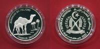 Westsahara 1000 Pesetas Silbermünze Dromedar - Gefährdete Tierwelt - Endangered Wildlife -