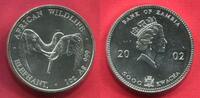 Zambia Sambia 5000 Kwacha Elefant Elephant -