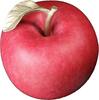 Cameroon 100 Francs APPLE 3D Do Not Eat Copper Coin 100 Francs Cameroun 2025 -