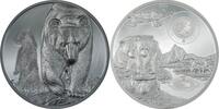 Mongolia  BROWN BEAR Growing Up 5 Oz Silver Coin 50 Cedis Ghana 2024 Proof