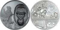 Cameroon 2000 Francs GORILLA Growing Up 2 Oz Silver Coin 2000 Francs Cameroon 2024 -