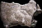 Roman Republic Awesome Ancient Silver Precoin - 18 mm / 4.82 gr. -