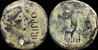 IBERIAN PUNIC REPUBLICAN  Ancient Hispania - Irippo, Dos Hermanas (Sevilla) Ae Semis - 26 mm / 8.03 gr. VF