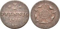 Lippe Detmold: 1 Pfennig Paul Alexander Leopold, 1820-1851: -