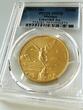Mexico – 2013 – 1 Onza – Libertad – Gold – Brilliant Uncirculated MS70