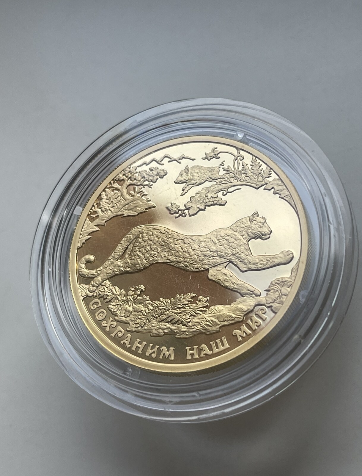 russland-200-roubles-200-ruble-gold-coin-leopard-2011-1-oz-russia-proof