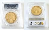 The United States of America $50 USA – American Buffalo Gold – 2022 – 50 USD – 1oz Proof -