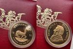 Südafrika Krügerrand Krugerrand 1991 1oz Proof Gold Coin