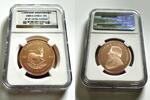 S.AFRICA 1KR 2008 South Africa &ndash; 2008 &ndash; Krugerrand &ndash; KNP Privy Mark &ndash; 1 ... 6100,00 EUR  Excl. 69,00 EUR Verzending