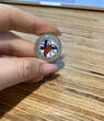 2 Euro Coloured Coin 2023 Finland Nature Conservation Law