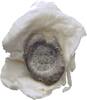 Ionien Ephesos Tessera Siegel -