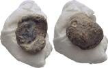 Ionien Ephesos Tessera Siegel -