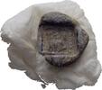 Ionien Ephesos Tessera Siegel -