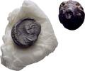 Ionien Ephesos Tessera Siegel -