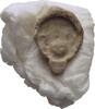 Ionien Ephesos Tessera Siegel -