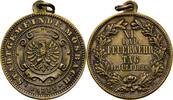 Feuerwehr Medaille  Baden Mosbach  ss