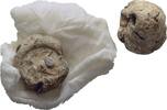 Ionien Ephesos Tessera Siegel -