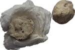 Ionien Ephesos Tessera Siegel -