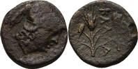 Moesien Kallatis Bronze 250-150 ss 65,00 EUR  Excl. 7,00 EUR Verzending