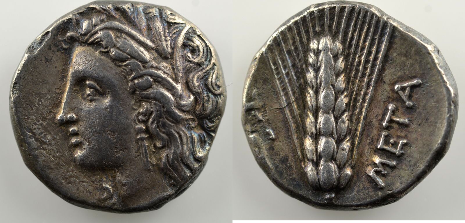 Greek coins 330-300 v. Chr. Lukania Metapontion Statère ...