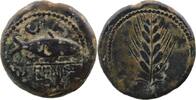 Celtic coins  Celtiberians  Ilipense  ESPAGNE - Ilipense (Alcala del Rio... 230,00 EUR  Excl. 7,00 EUR Verzending
