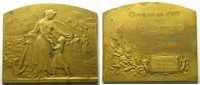 Numismatics of insurance companies bronze Comp. d'Assurances Générales contre l'Incendie Lamourdedieu 1919 Plaque en bronze rectangulaire 75x64mm Centenaire de la Compagnie TTB+ -