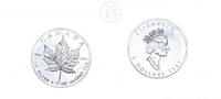Kanada 5 Dollar 1 Unze 1 Unze Silber Maple Leaf - 1 oz Silber -