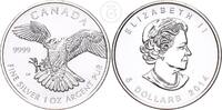 Kanada 5 Dollar 1 Unze 1 Unze Silber - Schneefalke - 1 oz Silber -