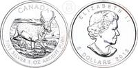 Kanada 5 Dollar 1 Unze 1 Unze Silber - Antilope - 1 oz Silber -