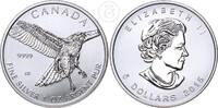 Kanada 5 Dollar 1 Unze 1 Unze Silber - Rotschwanzbussard - 1 oz Silber -