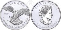 Kanada 5 Dollar 1 Unze 1 Unze Silber - Schneefalke - 1 oz Silber -
