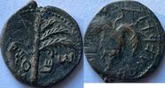 Acient Judea AE 26 Bar Kochba Revolt (132-135) rare coin in good condition! -
