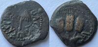 Acient Judea prutah Agrippa I (37-44) -