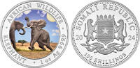 Somalia 100 Shillings Somalia -
