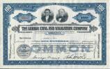 USA 100 Shares The Lehigh Coal and Navigation Company 1951, Aktie Wertpapier -