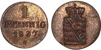 Altdeutschland/ Sachsen-Albertinische Linie 1 Pfennig König Friedrich August II. -