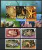 Briefmarken Südgeorgien Meerestiere Seestern Shallow Marine Surveys Postfrisch MNH -