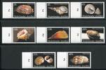 Briefmarken Niederländische Antillen 2008 Meeresschnecken Sea Shells 1657-1664 I MNH -