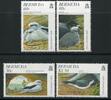 Briefmarken Bermuda 1997 Vögel Seevögel Birds Uccelli Oiseaux 723-726 Postfrisch MNH -