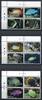 Briefmarken Penrhyn 2012 Fische Fishes Poissons Pesci Meerestiere 682-693 MNH -