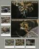 Briefmarken Kambodscha 2020 Reptilien Schildkröten Schlangen 2679-2685 Block 351-352 MNH -