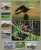 Briefmarken Kambodscha 2019 Tonle Sap Wasserwelt Vögel Fischer 2650-2656 Block 345-346 MNH -