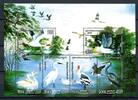 Briefmarken Kambodscha Cambodia 2005 Vögel Birds Ucelli Oiseaux Wasservögel Block 303 MNH -