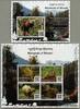 Briefmarken Bhutan 2019 Säugetiere Roter Panda Nashorn Affe Murmeltiere Goral Postfrisch MNH -