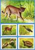 Briefmarken Vietnam Tiere Ba-Be Nationalpark Goldkatze 3574-3578 Block 157 U Imperf MNH -