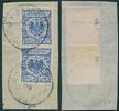 Briefmarken 1893 M DP China 48 d Paar Luxus-Briefstück Shanghai b Geprüft BPP Steuer €500/95