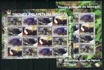Briefmarken 2006 Togo Schildkröten Turtles WWF 3337-40 ZD-Kleinbögen MNH
